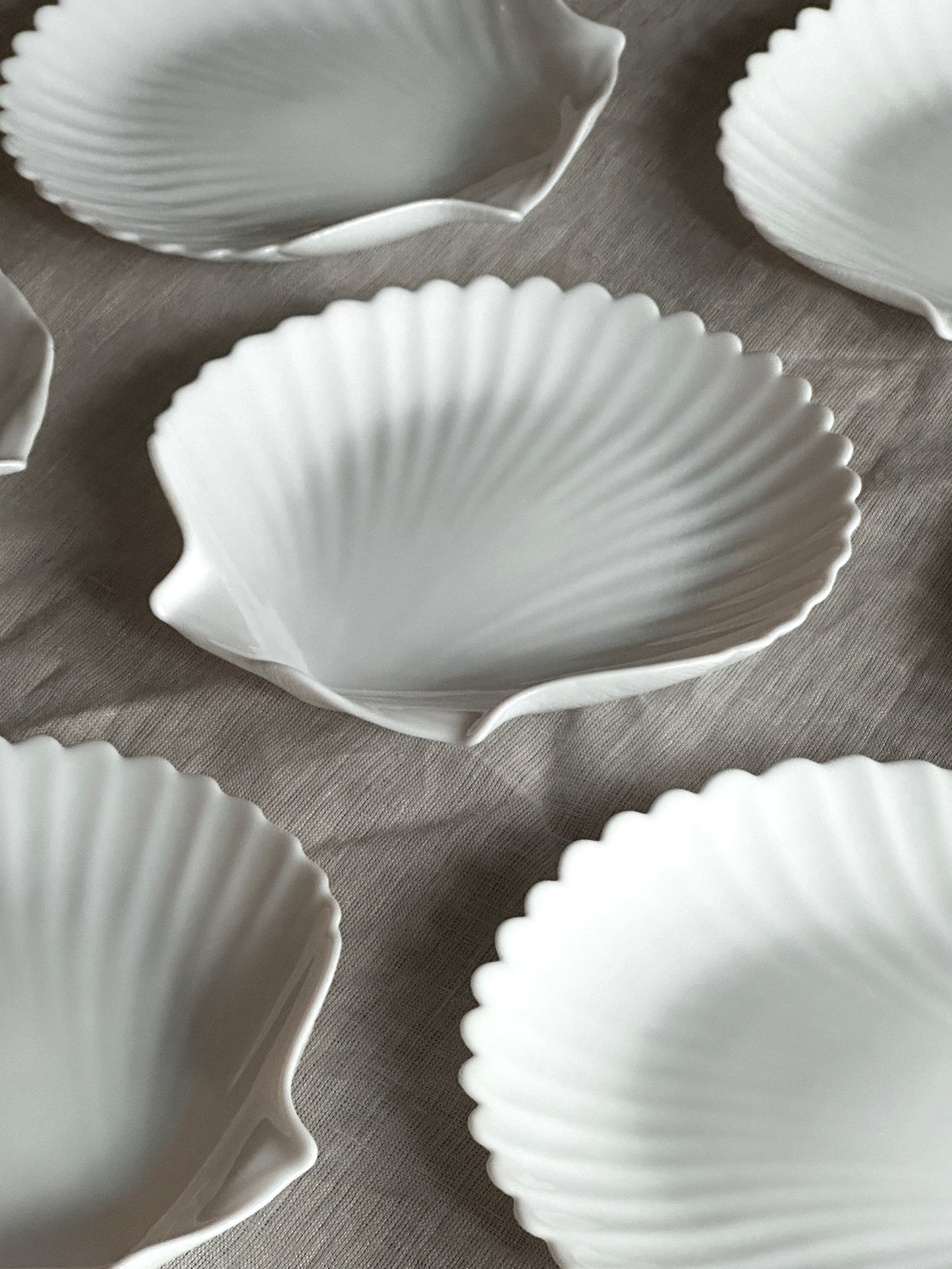 Arcoroc White Glass Seashell Plate Set (10 PC)