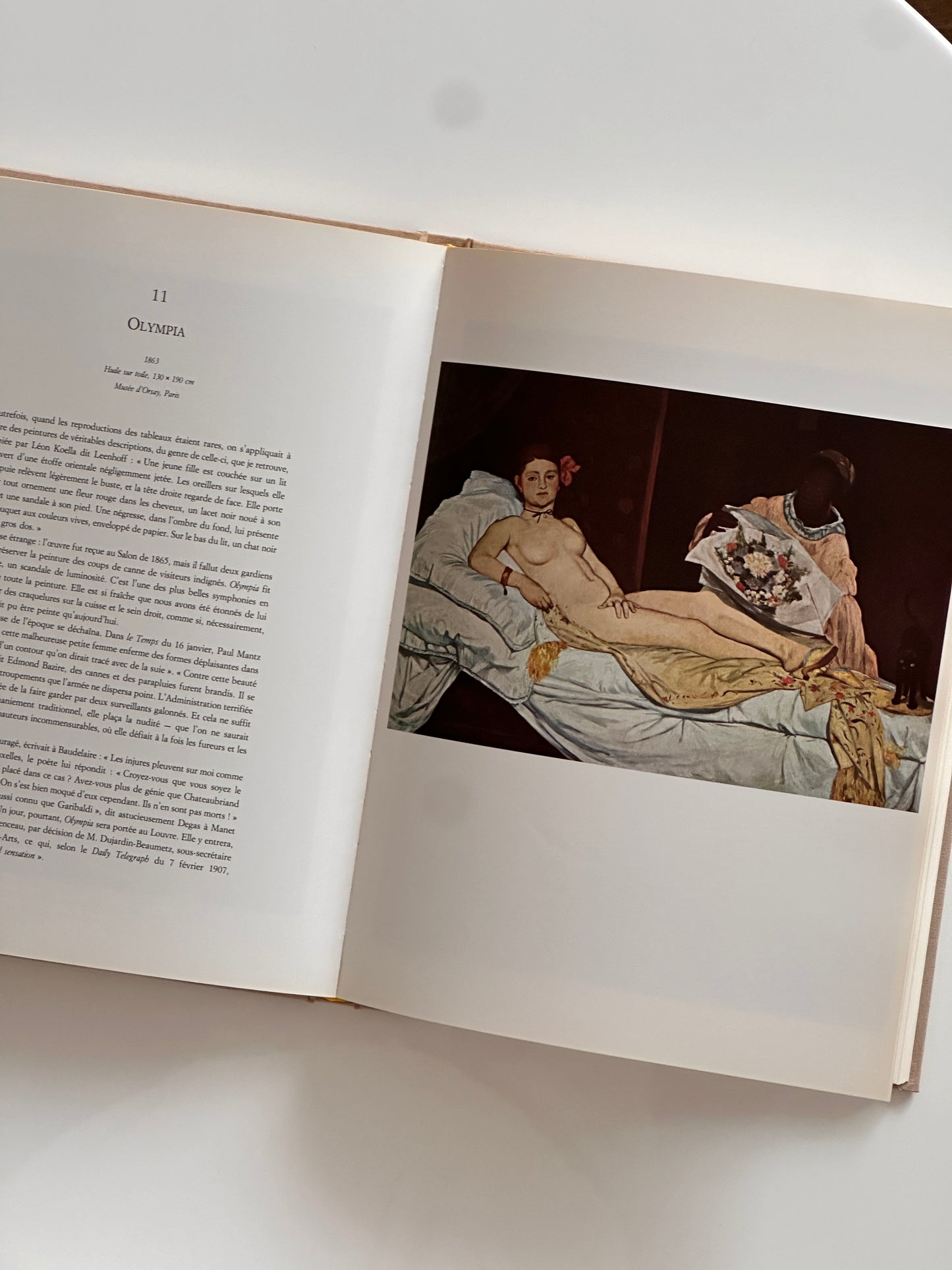 Manet book, 1991