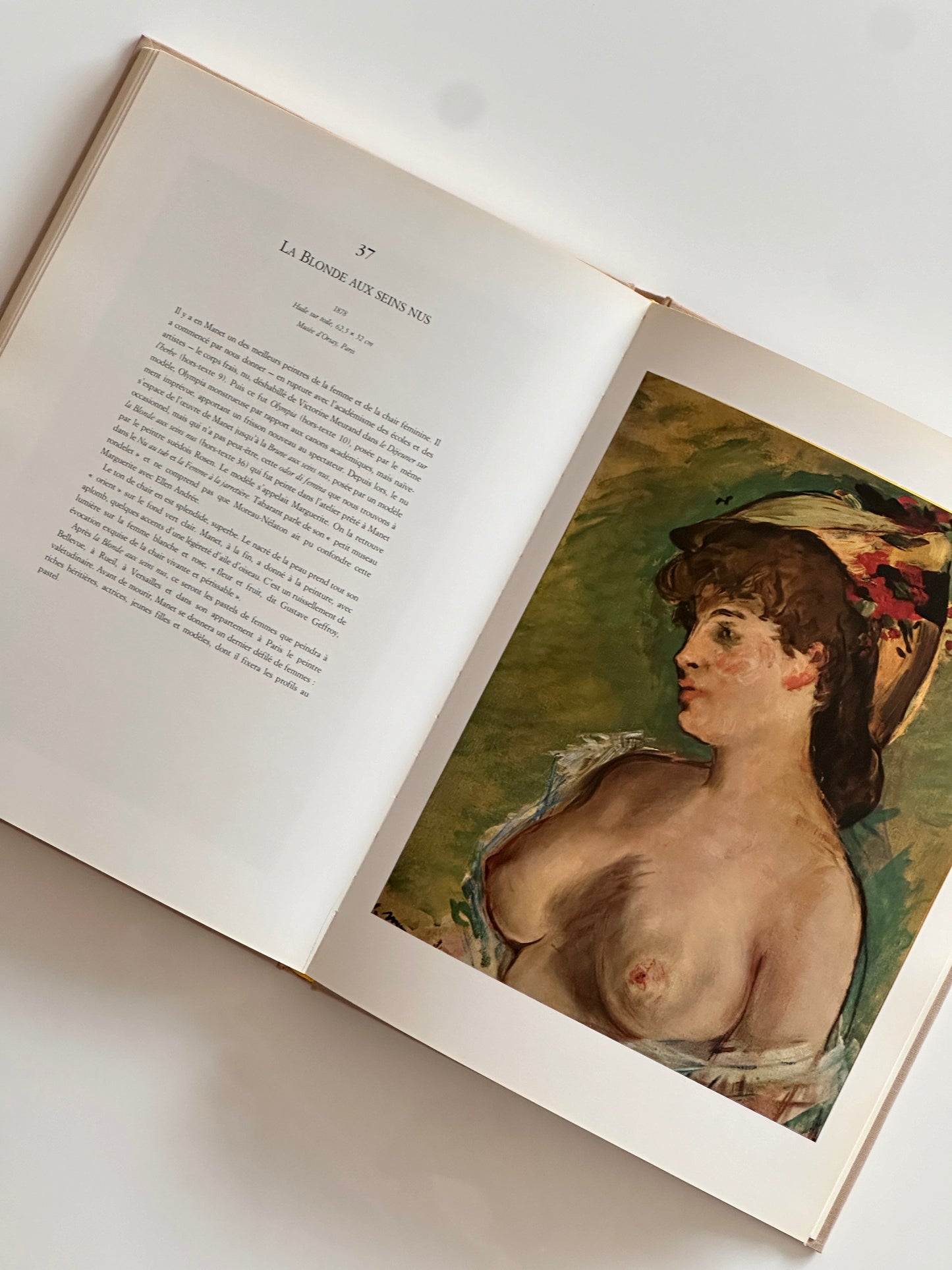 Manet book, 1991